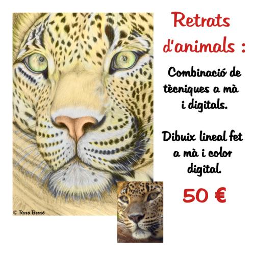Encàrrecs de retrats humans i d'animals