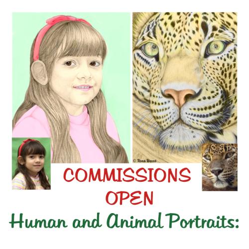 Commissions of humans and animals portraits