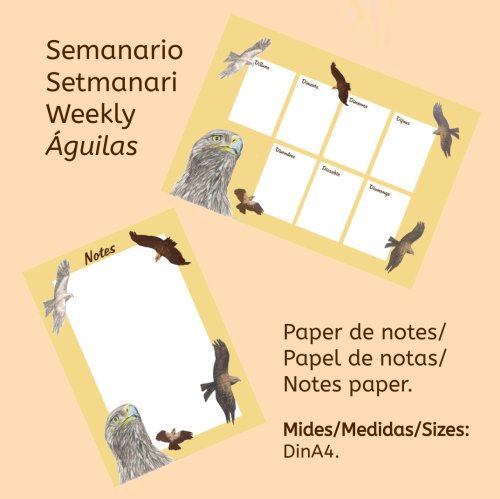 Paper de notes i setmanari (Digital)