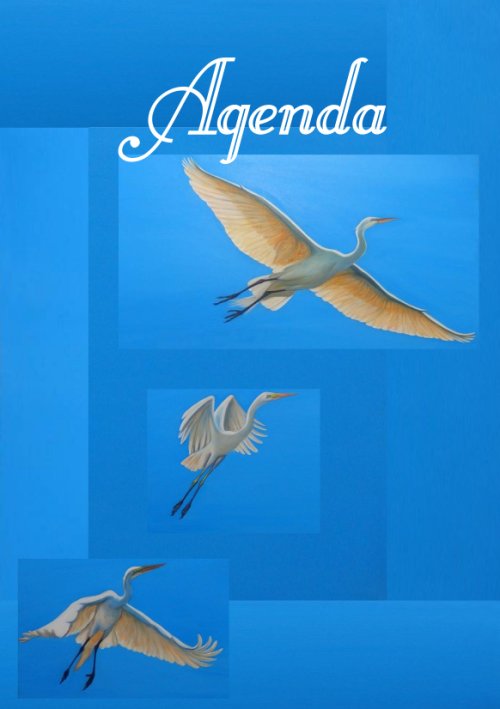 Agenda perpetua Garcetas/Garzas (DISPONIBLE en AMAZON)