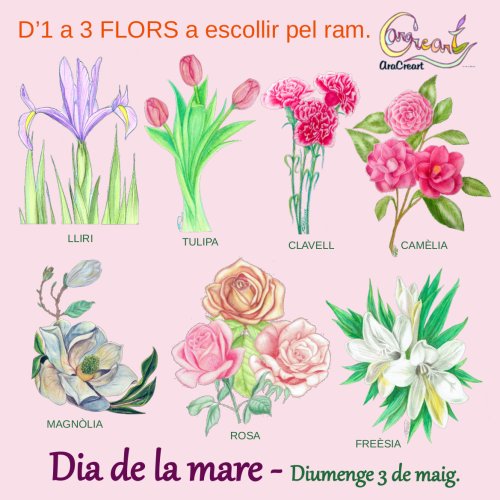 RAM de flors personalitzat - Dia de la mare.
