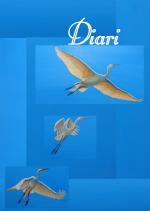 Diari martinets