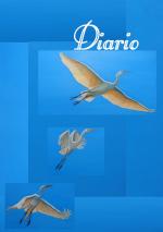 Diario garcetas