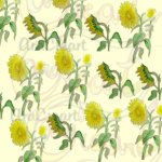 Estampats de girasols / Estampados de girasoles / Sunflower floral patterns (Digital)